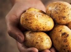 Картопля при схудненні: від якої картоплі додається вага?